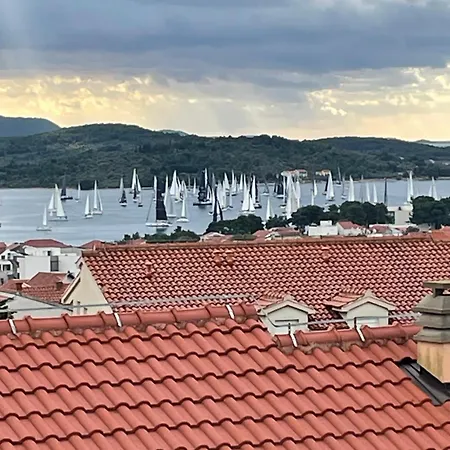 Flipa Lilly וודיצה